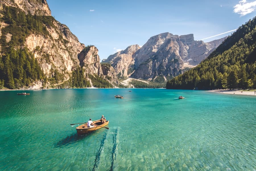 Insulated Picnic Cooler Tote